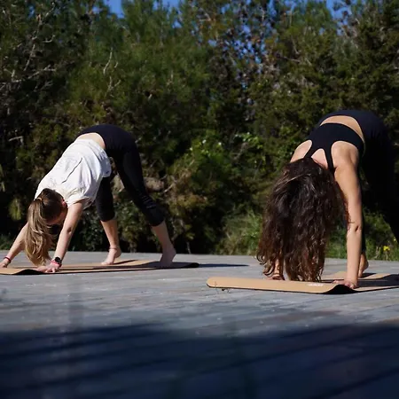 Bed & Breakfast Azen Cool House 3*