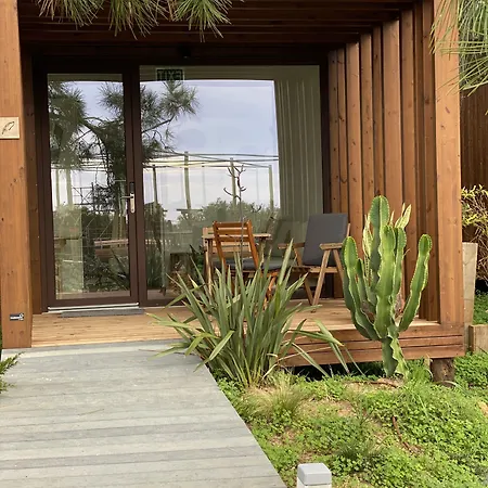 Azen Cool House Bed & Breakfast Azenhas do Mar