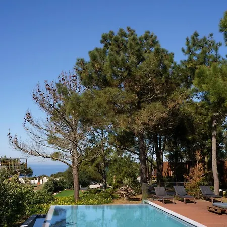 Bed & Breakfast Azen Cool House 3*
